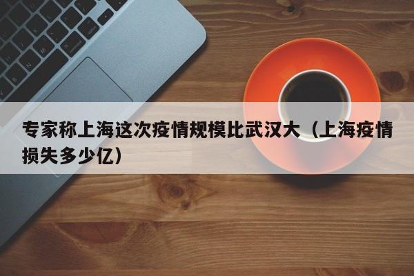 专家称上海这次疫情规模比武汉大(上海疫情损失多少亿)