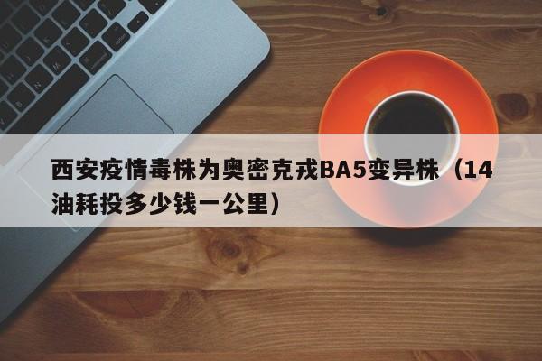 西安疫情毒株为奥密克戎BA5变异株(14油耗投多少钱一公里)
